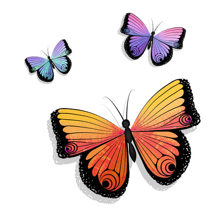 Set of multicolored butterfliesのイラスト素材