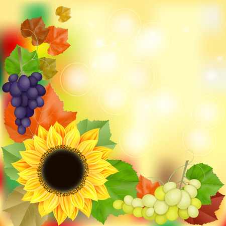 Autumn card with grapes and sunflowerのイラスト素材