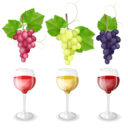 Different varieties of grapes and glasses of wine on white background のイラスト素材