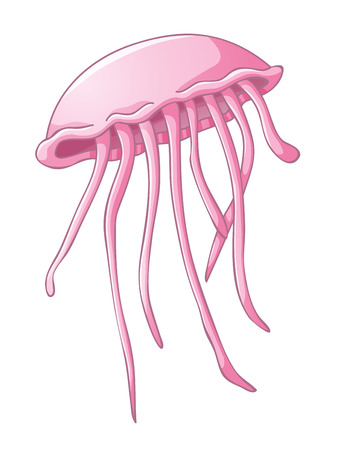 Jellyfish isolated on whiteのイラスト素材