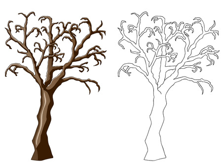 tree illustrationの写真素材