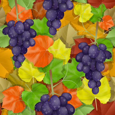 Autumn leaves pattern with grapesの写真素材
