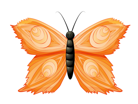 Colored butterfly isolated on white background. Vector illustration.のイラスト素材