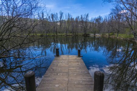 jetty on the forest lakeの写真素材