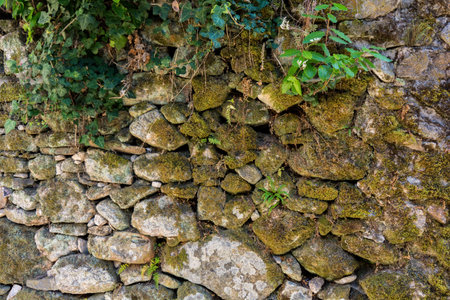 natural stone wall covered with colorful vegetationの写真素材