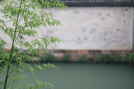 Courtyardの写真素材