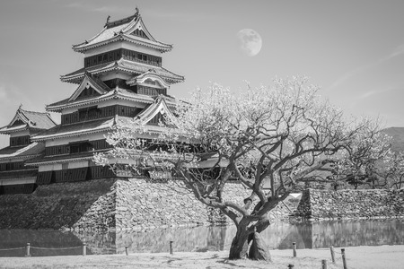 Matsumoto Castle is one of the most complete and beautiful among Japan's original castles ,black and whiteのeditorial素材