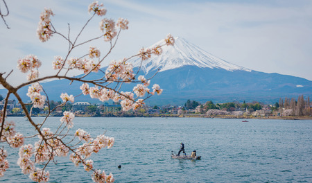 Mountain Fuji in spring ,Cherry blossom Sakuraのeditorial素材