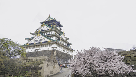 Japan Osaka castle with cherry blossom. Japanese spring view.のeditorial素材