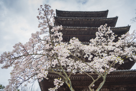 Kyoto, Japan at Kiyomizu-dera Temple in the springのeditorial素材