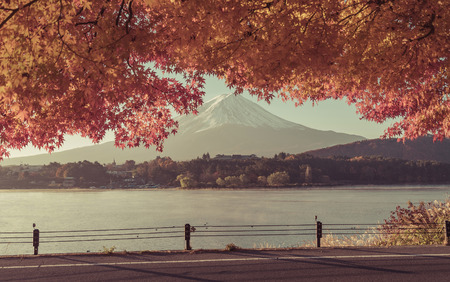 Mt.Fuji in autumn,morning,vintageの写真素材