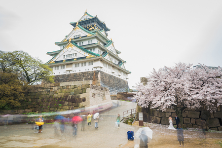 Japan Osaka castle with cherry blossom. Japanese spring view.のeditorial素材