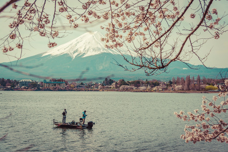 Mountain Fuji in spring ,Cherry blossom Sakura,vintageの写真素材