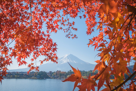 red frame of maple leaf and mt.Fujiの写真素材