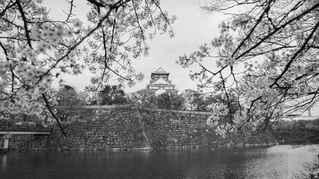 Japan Osaka castle with cherry blossom. Japanese spring view. ,black and whiteのeditorial素材
