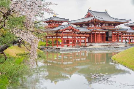 Kyoto, Japan at Byodo-in Temple ,sakura in autumnのeditorial素材