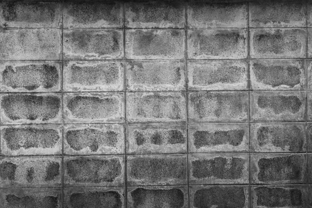 Closeup of black ant white block wallの写真素材