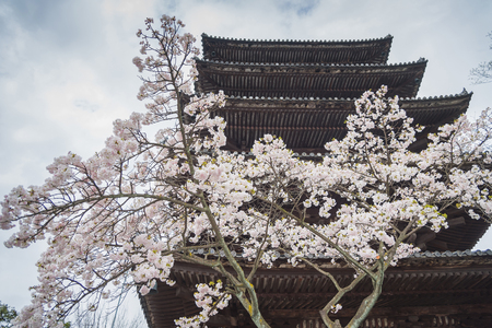 Kyoto, Japan at Kiyomizu-dera Temple in the springのeditorial素材