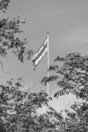 thailand flag with nice sky on flagstaff ,black and whiteの写真素材