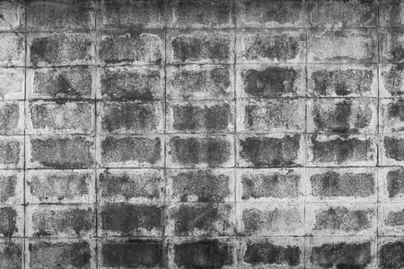 Closeup of black ant white block wallの写真素材