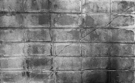 Closeup of black ant white block wallの写真素材