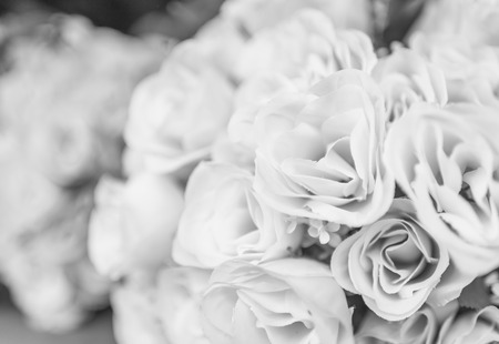 fake white old rose ,rose flower , black and whiteの写真素材