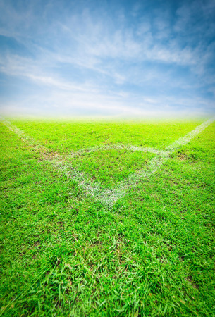 green soccer field with the blue skyの写真素材