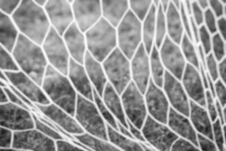 White nylon nets on green grass blur ,black and whiteの写真素材
