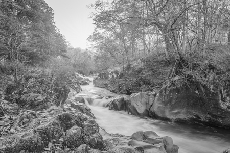 watercourse at nikko, japan sunset , black and white styleの写真素材