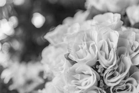 fake white old rose ,rose flower , black and whiteの写真素材
