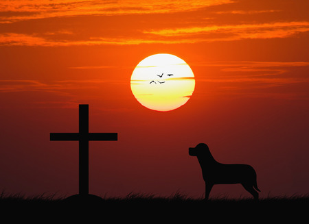 Silhouette of the cross with the sunsetの写真素材