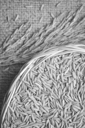 paddy on wicker baskets on the sack cloth , black and whiteの写真素材