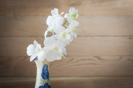 Orchid in a Vase  on woodの写真素材
