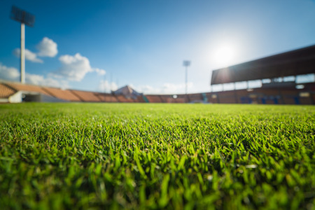 Green grass in soccer stadiumの写真素材