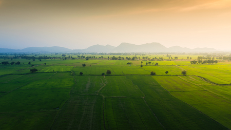 Mountain and sunshine in green fields. Landscape of jasmine rice green field with mountain and sky background at Kanchanaburi Thailandの写真素材