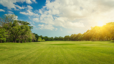  Public park. Park in the capital. Park Lawn Green. Green trees in park. Sky and clouds at the park. Green field in a park in Bangkok, Thailand. The park is a place to relax and exercise.
の写真素材