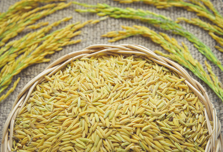 paddy on wicker baskets on the sack cloth vintageの写真素材