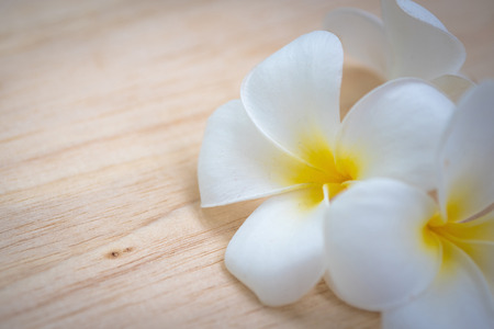 frangipani flower on a wooden background.の写真素材