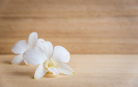 White orchid flower on brown wooden background. Blank space on wooden boardの写真素材