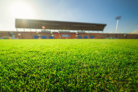 Green grass in soccer stadiumの写真素材