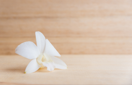 White orchid flower on brown wooden background. Blank space on wooden boardの写真素材