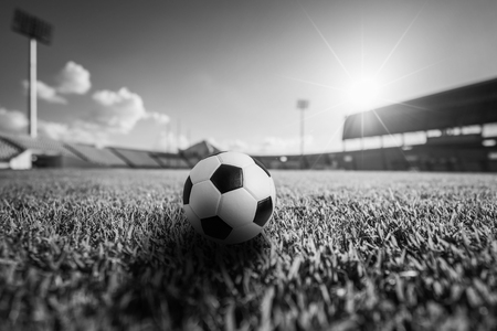 Soccer ball on the grass in soccer stadium.の写真素材