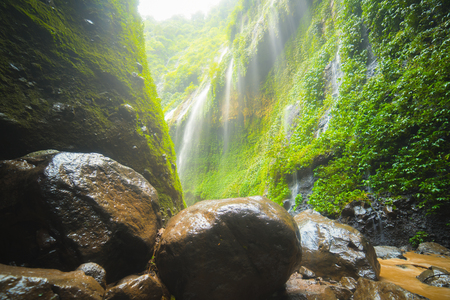 Beautiful waterfall in east java known as Madakaripura Falls, second largest waterfall in Indonesia.の写真素材