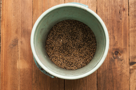 the green manure mix seeds close upの写真素材