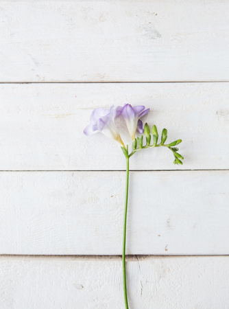 flowers on the florist's table in flowershopの写真素材