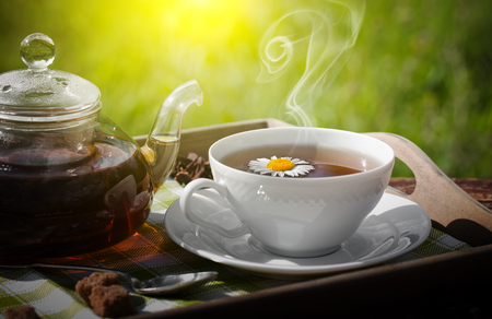 Tea in a cup in natureの写真素材
