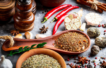 Spices and condiments for food