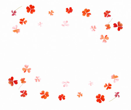 Painted pattern on a white background leaf shamrock.   Double border of shamrocks. Repainted in red over a white backgroundの写真素材