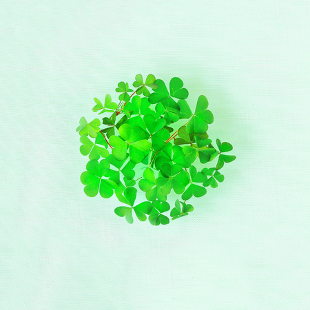 Shamrock piled in a circle. Irish symbol. Ecology concept. 