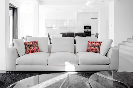 Luxurious and modern living room, dining room and kitchen. Luxurious furniture, sofa, table and chairs.の写真素材